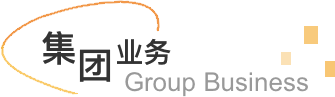 集团业务